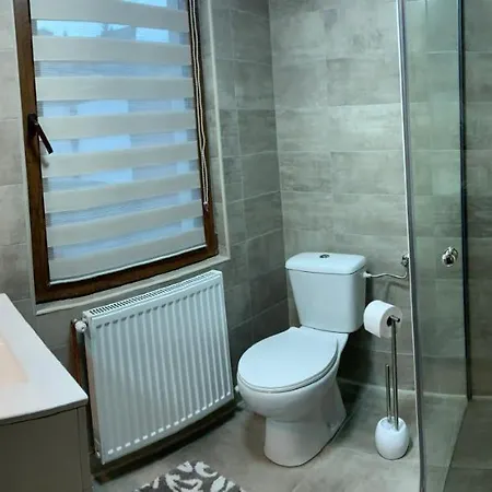 Vik. Apartment Sighişoara Extérieur photo